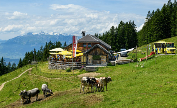 Es geht auf den Gipfel – Herbstwanderung im Oktober